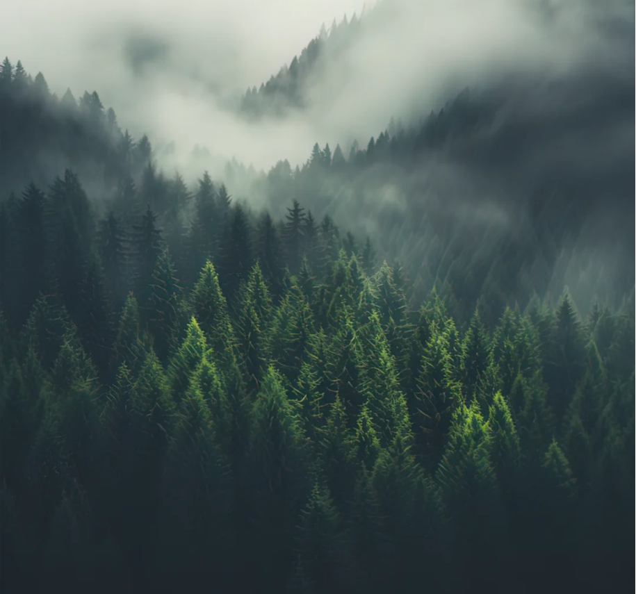 新品上市｜鯨MAX系列900x1800mm——感受自然韻律，營造沉浸式松弛空間