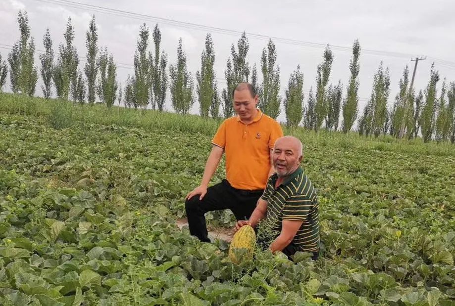 愛心鷹牌 | 萬里援疆，鷹牌助力新疆塔然其村沖刺脫貧(圖4)